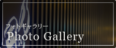 フォトギャラリー