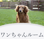 ワンちゃんルーム
